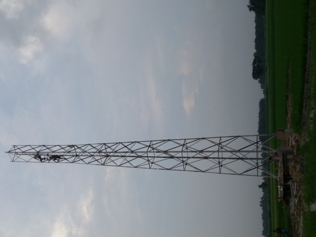 Tower and bridge fabrication & erection